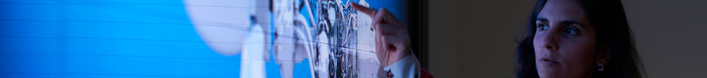 Bild zu Procurement Development Leader